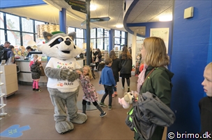 Miniature af billede nummer 6632