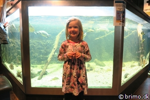 Miniature af billede nummer 6633