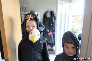 Miniature af billede nummer 6635