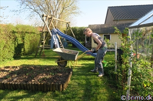 Miniature af billede nummer 6653