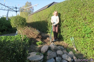 Miniature af billede nummer 6654