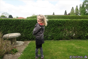 Miniature af billede nummer 6659