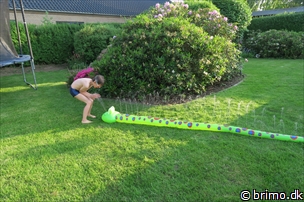 Tilfældigt billede fra Juni 2016