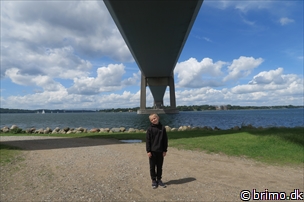 Miniature af billede nummer 6676