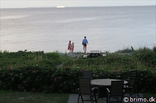 Miniature af billede nummer 6684