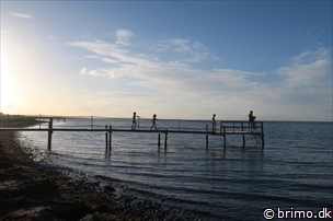 Miniature af billede nummer 6695