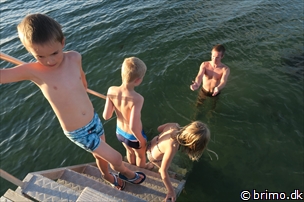 Miniature af billede nummer 6697