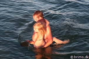 Miniature af billede nummer 6708