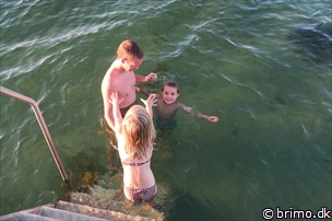 Miniature af billede nummer 6709