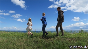 Miniature af billede nummer 6711