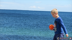 Miniature af billede nummer 6712