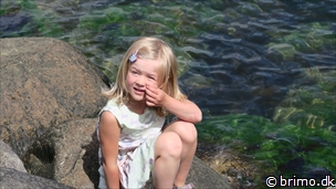 Miniature af billede nummer 6713