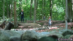 Miniature af billede nummer 6725