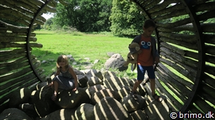 Miniature af billede nummer 6726