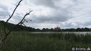 Miniature af billede nummer 6729