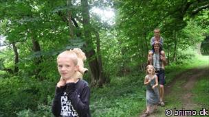 Miniature af billede nummer 6730