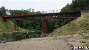 Miniature af billede nummer 6733