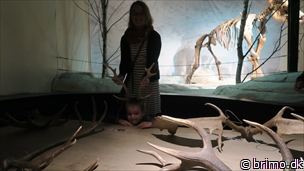 Miniature af billede nummer 6736