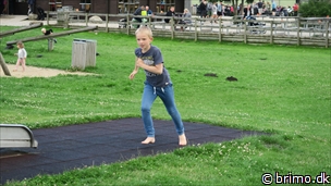 Miniature af billede nummer 6741