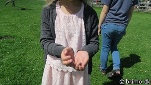 Miniature af billede nummer 6744