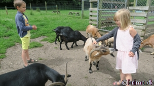 Miniature af billede nummer 6745