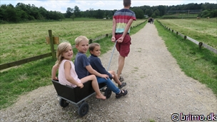 Miniature af billede nummer 6752