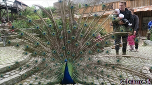 Miniature af billede nummer 6755