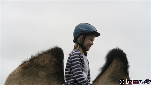 Miniature af billede nummer 6756