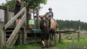 Miniature af billede nummer 6758