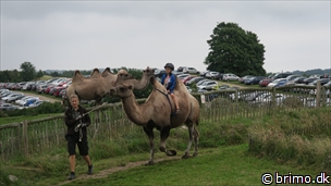 Miniature af billede nummer 6760