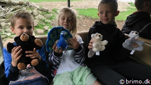 Miniature af billede nummer 6761