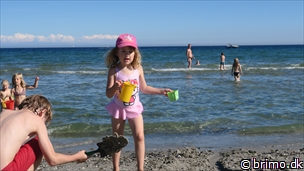 Miniature af billede nummer 6764