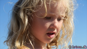 Miniature af billede nummer 6765