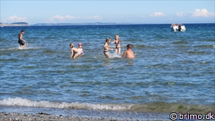 Miniature af billede nummer 6766