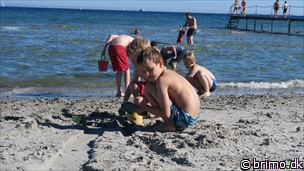 Miniature af billede nummer 6767