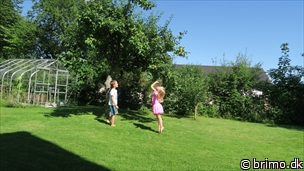 Miniature af billede nummer 6770