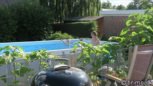 Miniature af billede nummer 6778