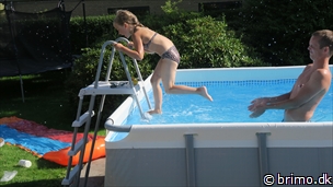 Miniature af billede nummer 6782