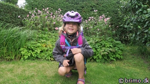 Miniature af billede nummer 6796