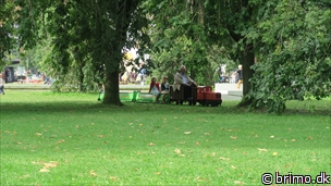 Miniature af billede nummer 6813