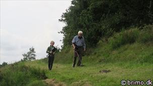 Miniature af billede nummer 6817