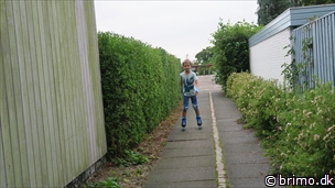 Miniature af billede nummer 6837