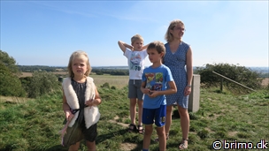 Miniature af billede nummer 6846