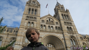 Miniature af billede nummer 6852