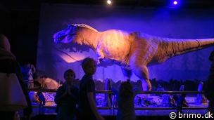 Miniature af billede nummer 6856