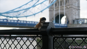 Miniature af billede nummer 6888