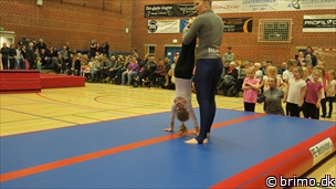 Miniature af billede nummer 6901